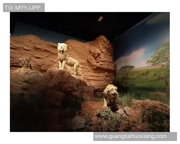 杭州极限运动队防守革新之路探索与实践分析